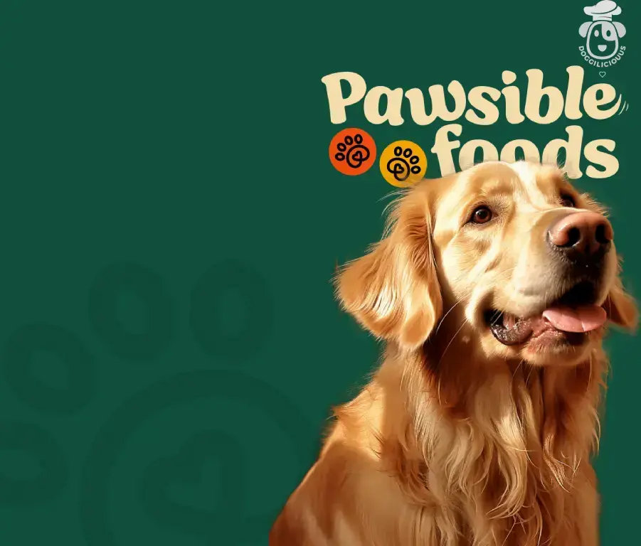 Login to your account